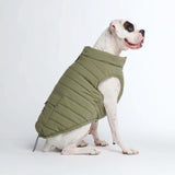 Olive Warmshield Jacket||size:3XL