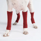 Leg - Red