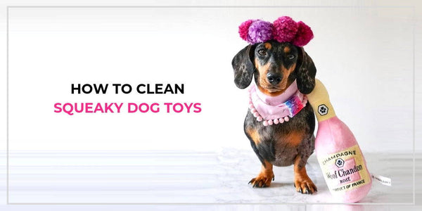 How to Clean Squeaky Dog Toys and When to Throw Them Out