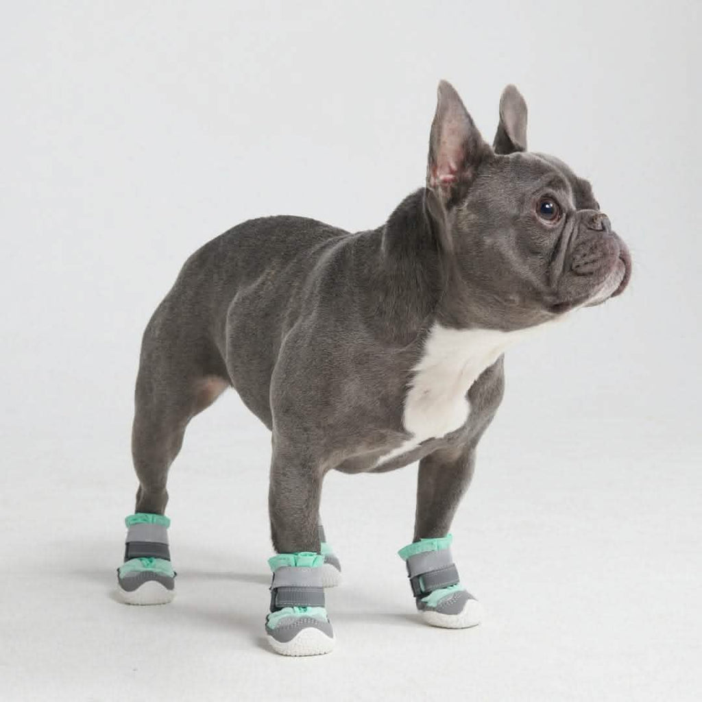 Hot Pavement Pawtector Dog Shoes Teal – SPARK PAWS