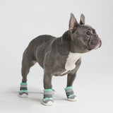 Hot Pavement Pawtector Dog Shoes - Teal