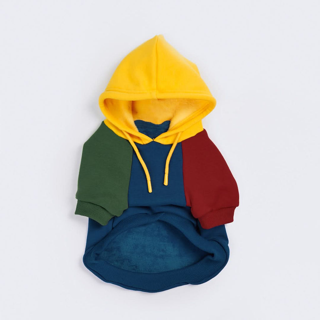 Primary color block sweater new arrivals