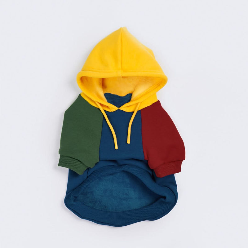 Primary Color Block Dog Hoodie