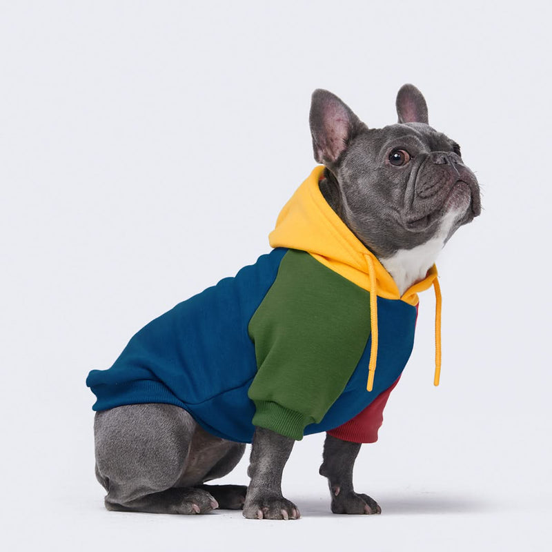 Primary Color Block Dog Hoodie