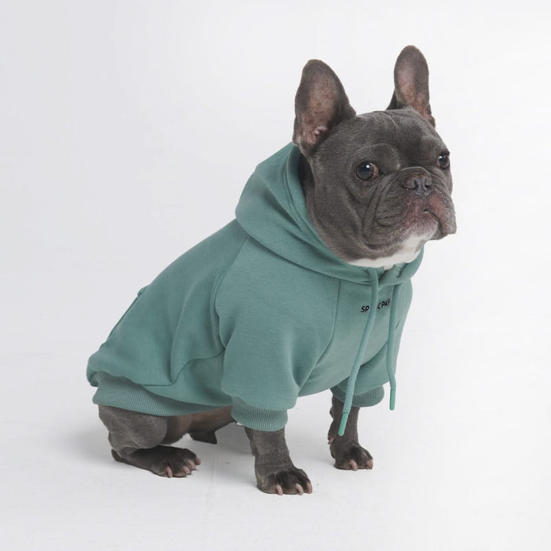 Essential Dog Hoodie - Teal