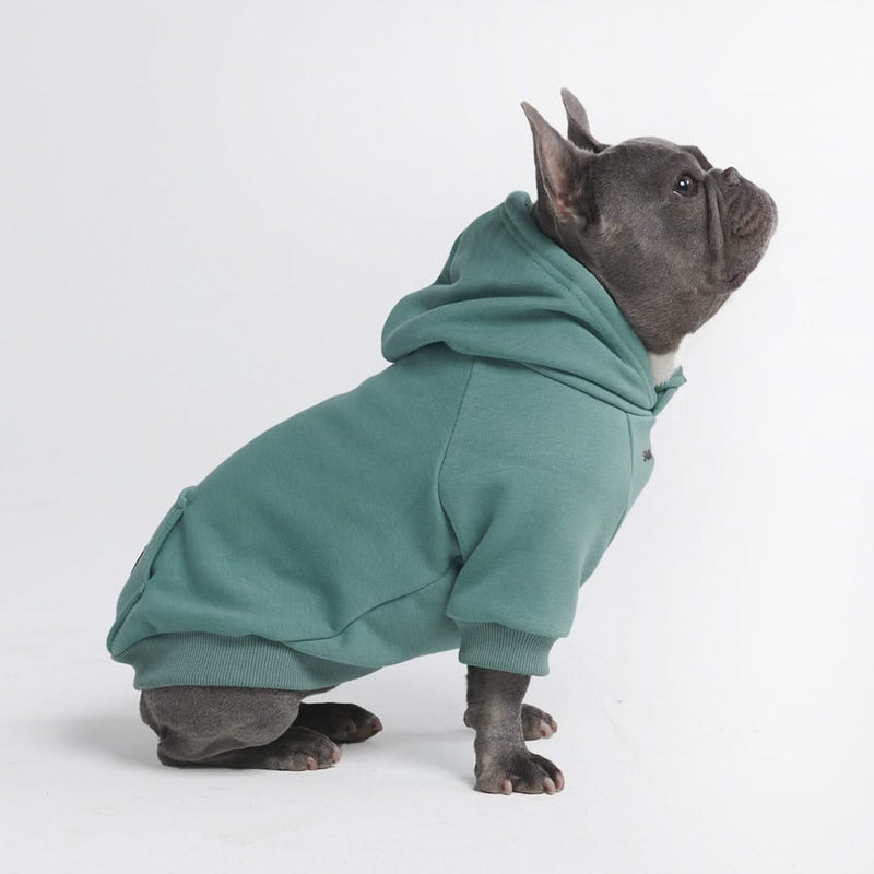 Essential Dog Hoodie - Teal