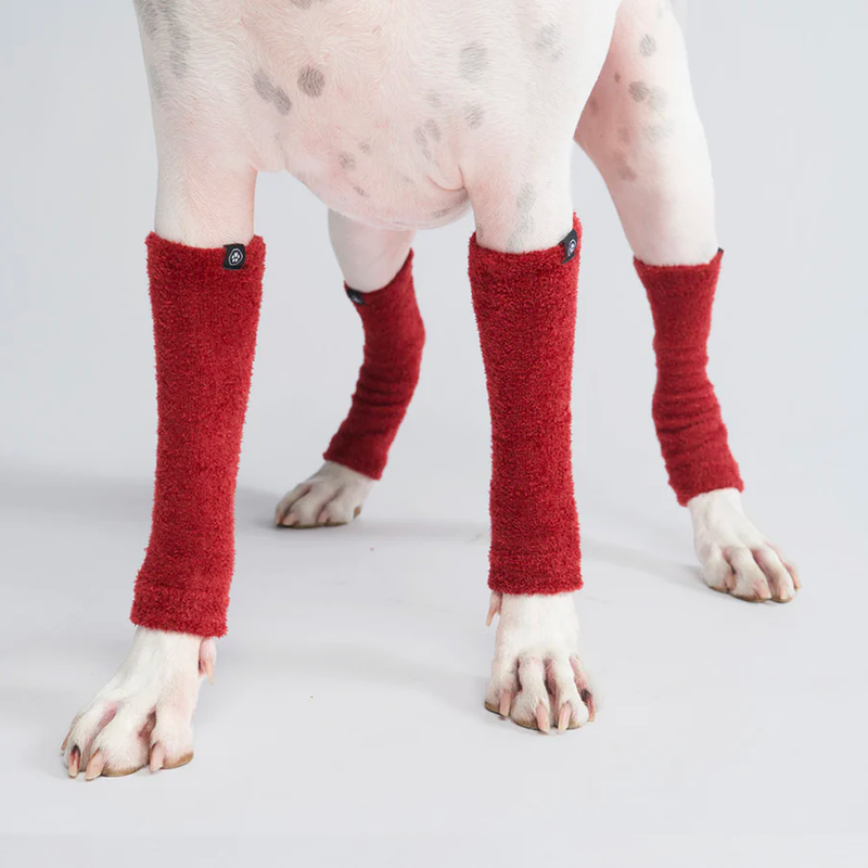 Pet leg shop warmers