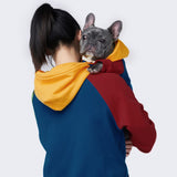 Primary Color Block Dog Hoodie