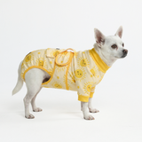 Sunshine Surgical Suit||size:S