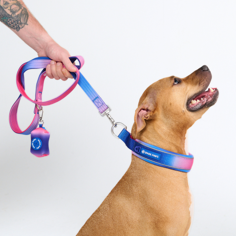 Snow Cone Collar||size:C,D,E