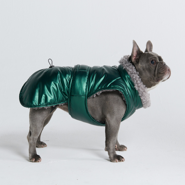 Goose down 2025 dog jacket