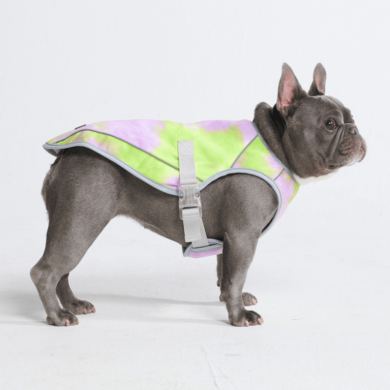 Cooling harness for french bulldog online
