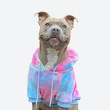 Velvet Dog Hoodie - Snow Cone