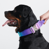 Comfort Control Collar Set - 90s Retro