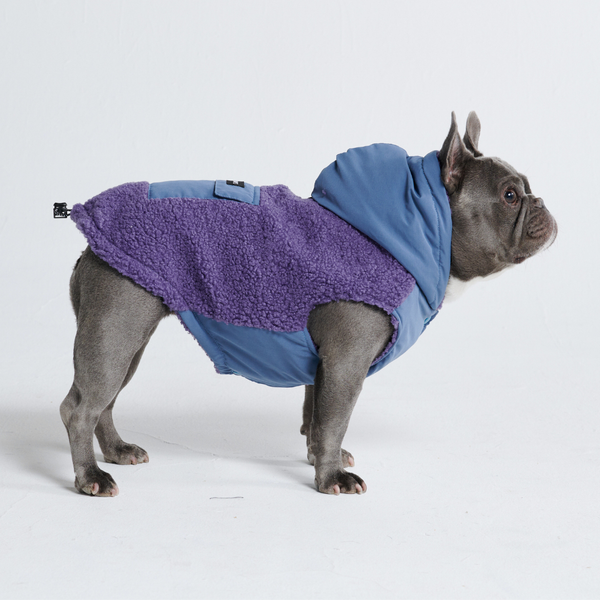 Dog apparel australia hot sale