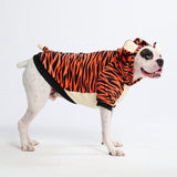 Halloween Dog Hoodie - Tiger