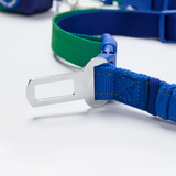 Lime Wave Neoprene Leash