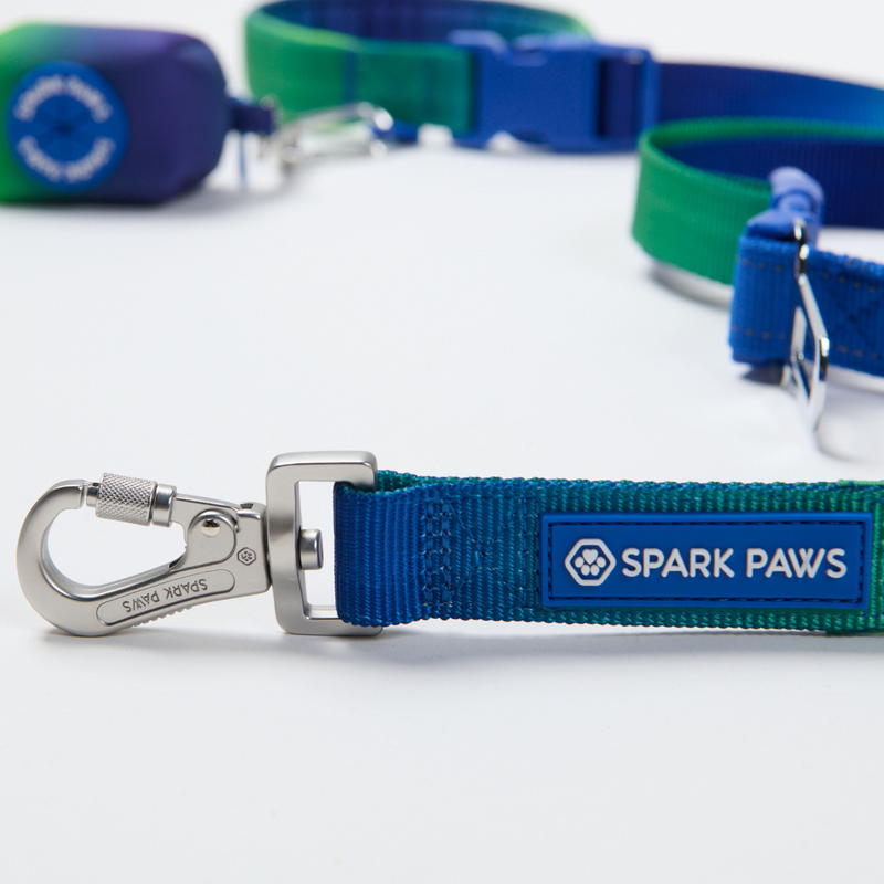 Lime Wave Neoprene Leash