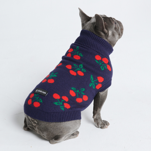 Dog apparel australia best sale