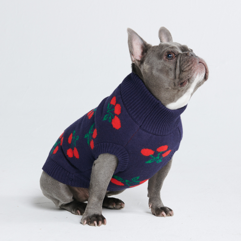 Cherries Knit Dog Sweater