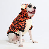 Halloween Dog Hoodie - Tiger