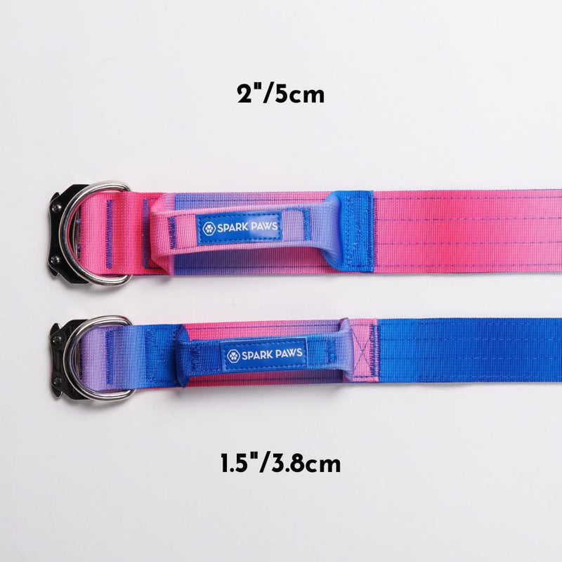 Comfort Control Collar Set - Snow Cone