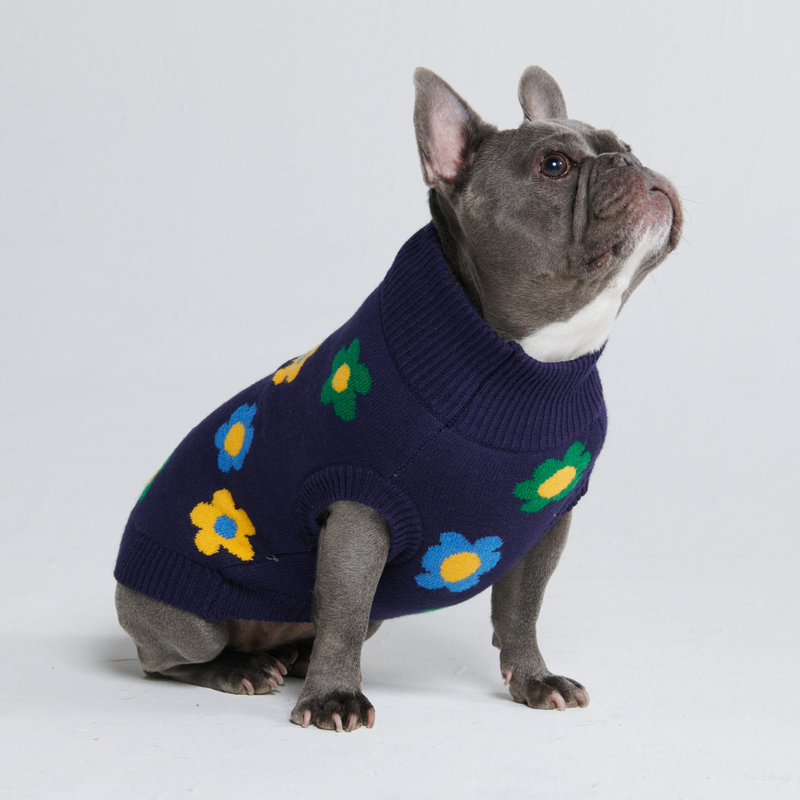 Flower Knit Dog Sweater - Blue Green Yellow