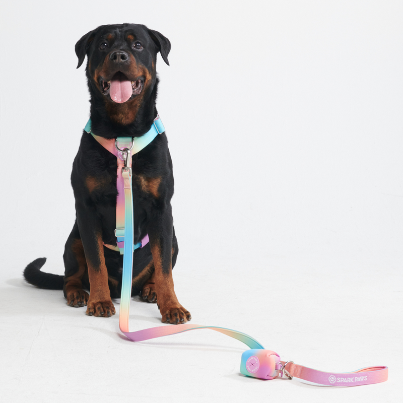 Comfort Control No-Pull Dog Harness - Pastel Icing