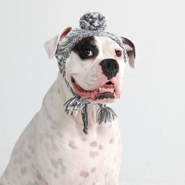 Knit Pom Pom Dog Beanie Hat - Salt and Pepper