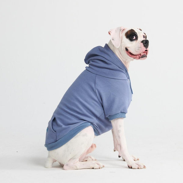 Essential Dog Hoodie - Slate Blue