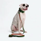 Leash and Poop Bag Holder Set - Green Orange