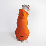 Essential Dog Hoodie - Spritz