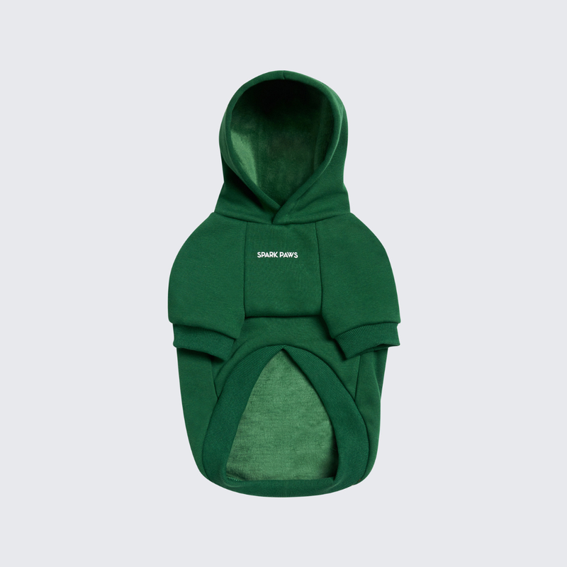 Essential Dog Hoodie - Cobalt Green