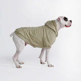 Essential Dog Hoodie - Olive Green
