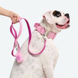 Leash and Poop Bag Holder Set - Pink