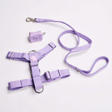 Comfort Control No-Pull Dog Harness Set - Lilac