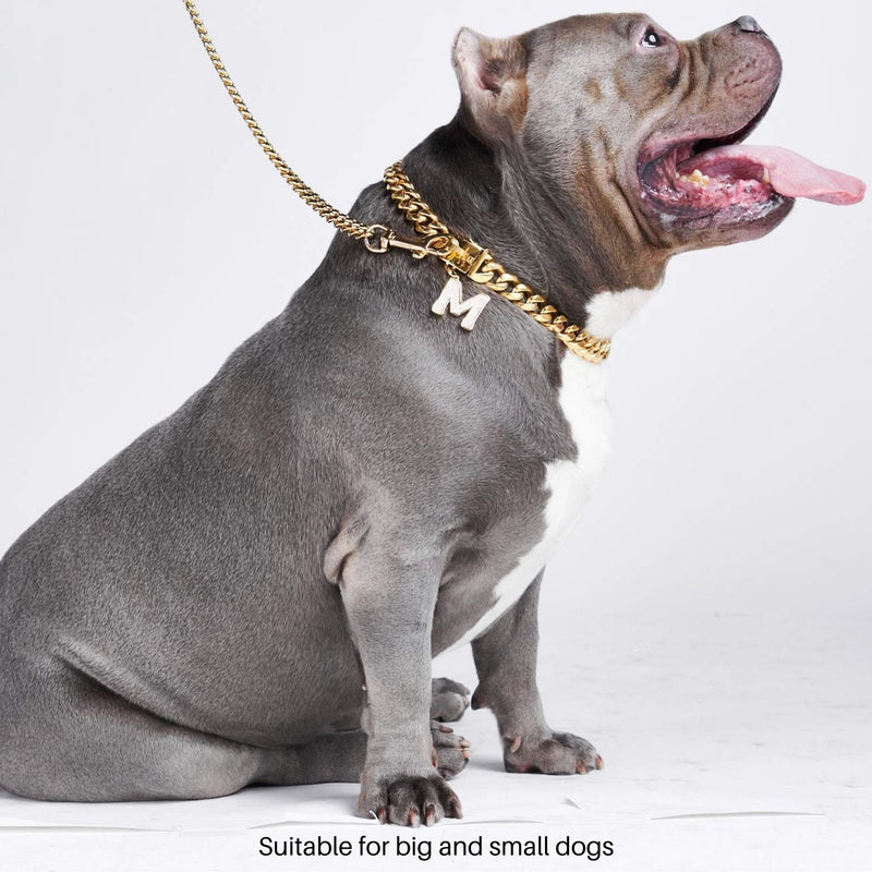 Gold Chain Dog Collar 20mm