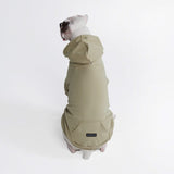 Essential Dog Hoodie - Olive Green