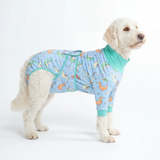 Dragons Surgical Suit||size:2XL