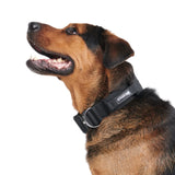 Comfort Control Collar Set - Black