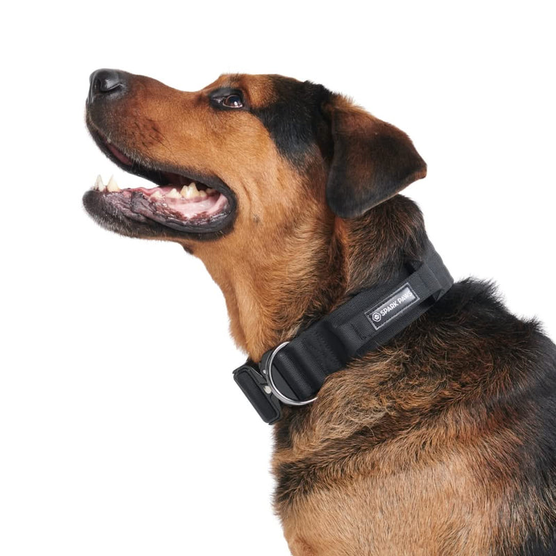 Comfort Control Collar Set - Black