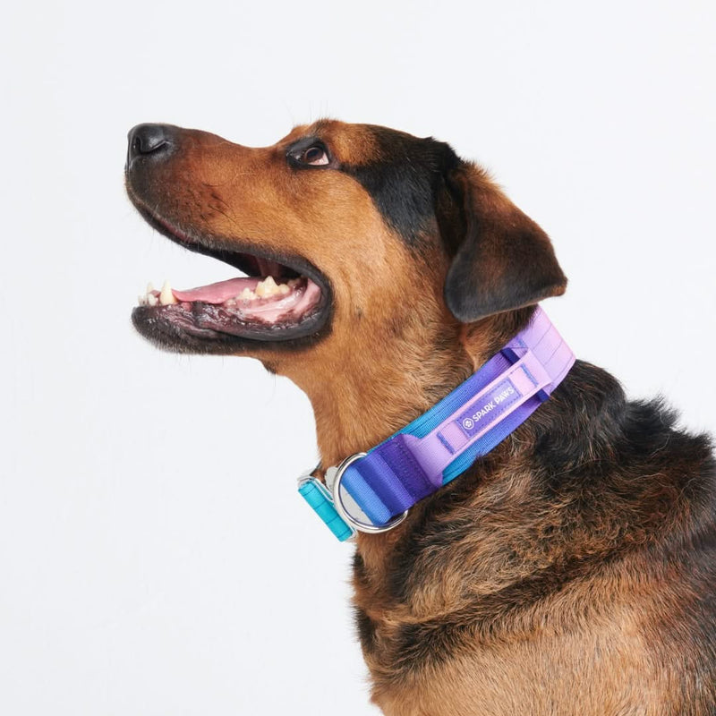 Comfort Control Collar - 90s Retro