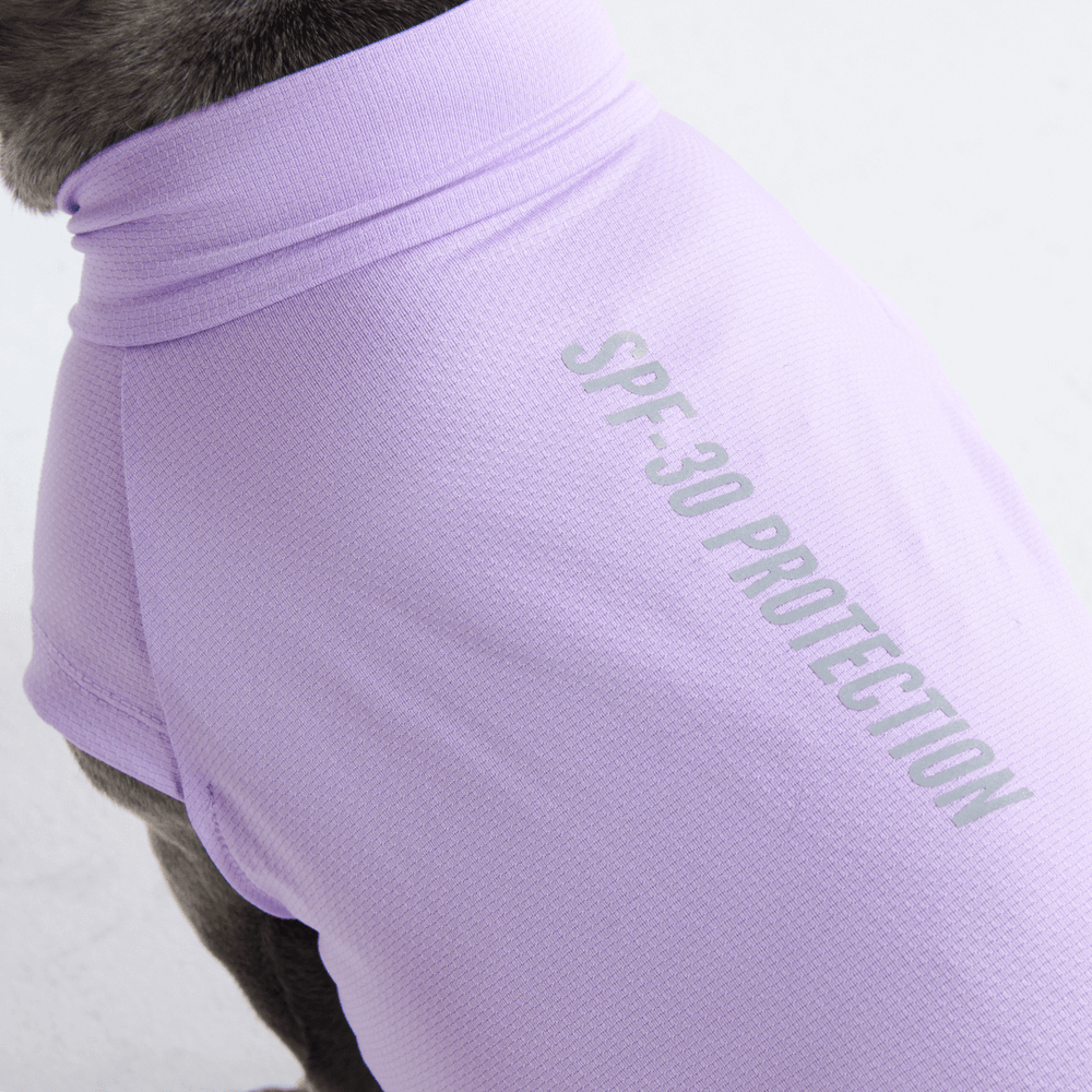 Basenji Pants - Purple Basenji Pants - Purple