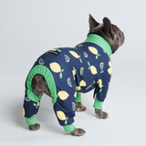Dog Pajama - Lemon