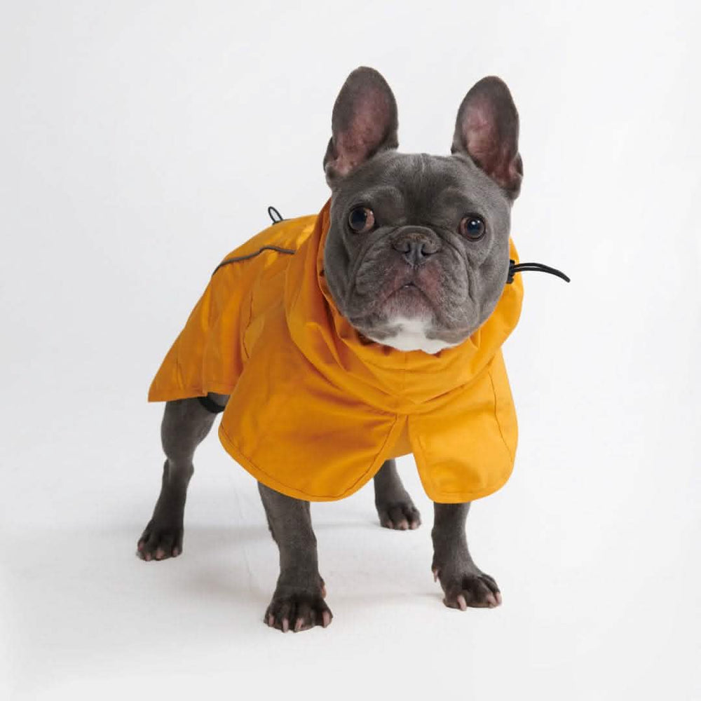 Breatheshield™ Dog Raincoat (Multi-Color) – SPARK PAWS