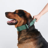 Comfort Control Collar Set - Army Green