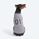 Grey Football Jersey