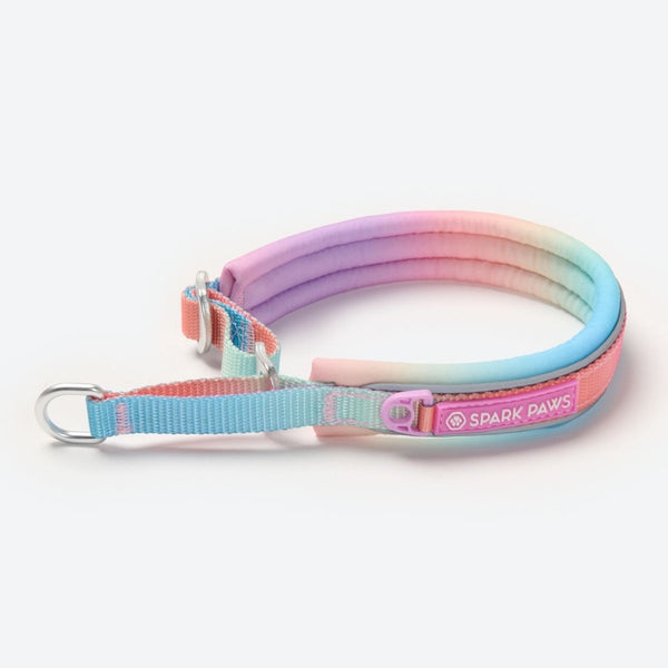 Pastel Icing Martingale Collar||size:A,B