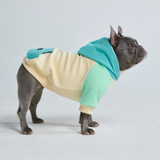 Coastal Dog Hoodie