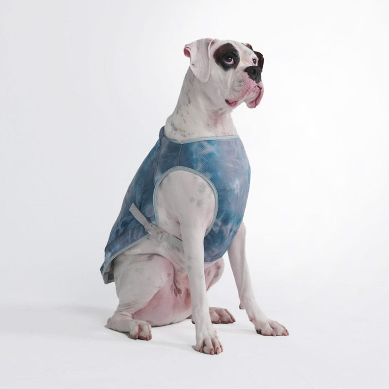 Dog Cooling Vest - Ice Blue